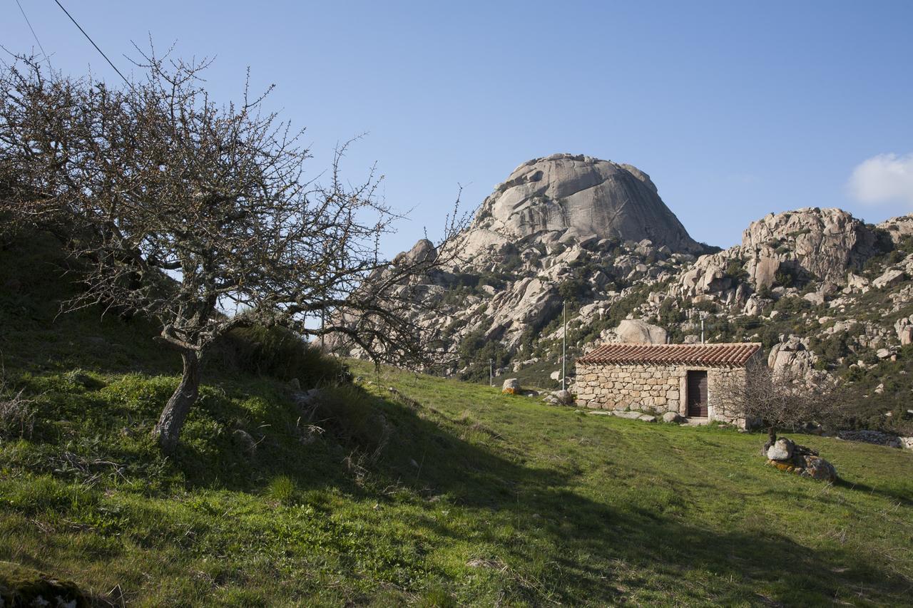 Locanda Li Manni Aggius 외부 사진