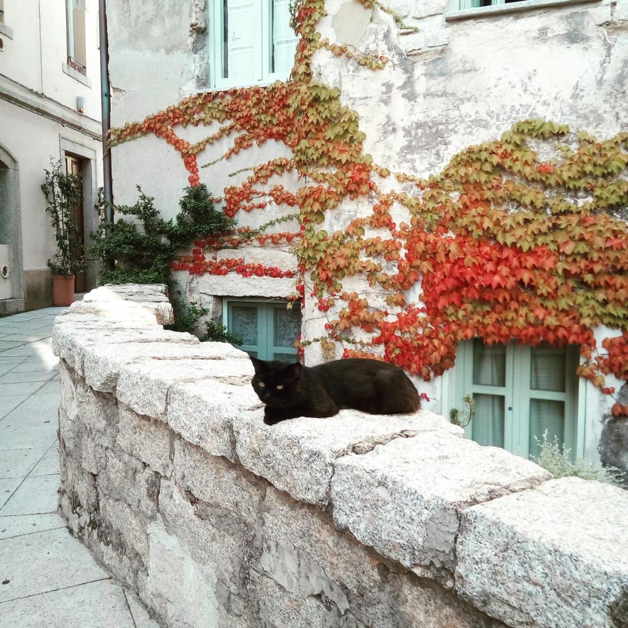 Locanda Li Manni Aggius 외부 사진